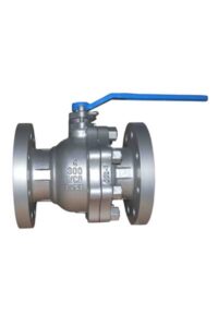 Cast check valve