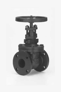 Cast iron gate valve