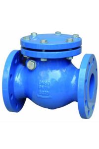 Swing check valve