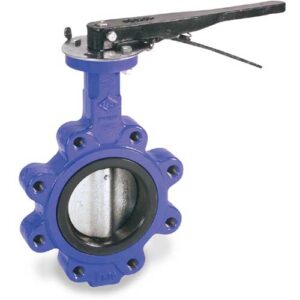 Lug Type Butterfly Valve
