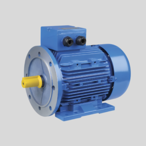 Electric Motor